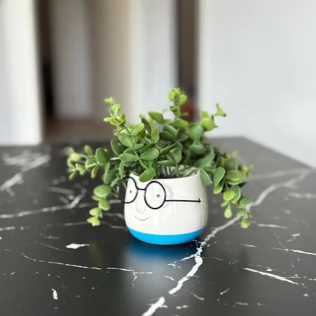 Silenzio Гостевой дом Стари Град